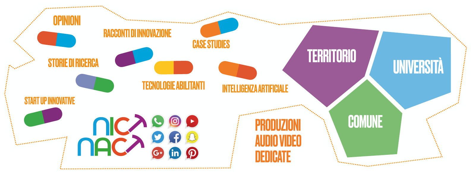 info-grafica-universita